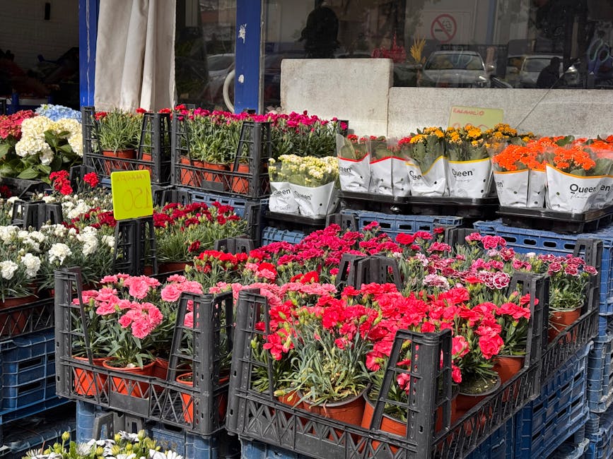 An outdoor display of various potted flowers arranged in black plastic crates on a sidewalk outside Petts Wood Florist. The arrangement includes pink, red, white, yellow, and orange blooms, predominan