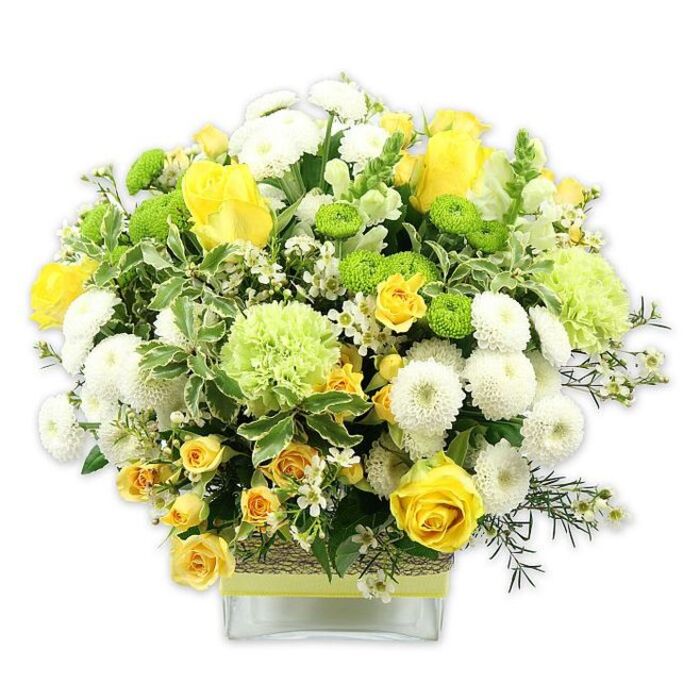 Displayed against a pristine white backdrop, this generous floral arrangement in a low, rectangular glass vase radiates warmth and freshness, echoing the easy charm of Petts Wood's leafy avenues. Central to the design are several yellow roses, their velvety petals layered in open, spiralling blooms alongside partially opened buds that suggest new beginnings. Clusters of smaller yellow spray roses are tucked among them, introducing a playful, clustered texture that enhances the sense of abundance. Nestled between the roses, white pompom chrysanthemums sit in neat, rounded domes, each densely packed with petals, providing a calm, structured counterpoint to the more fluid rose shapes. Scattered throughout are bright lime green button chrysanthemums, diminutive and perfectly spherical, their vibrant hue instantly catching the eye and adding a modern, zesty twist. Slightly larger pale green blooms with softly ruffled edges-similar to decorative green carnations or specialist mums-form a plush, supportive layer, helping to shape the bouquet into a smooth, domed silhouette. Around the edges and weaving between the flowers, mixed foliage creates a verdant frame: broad variegated leaves edged with creamy white, glossy dark-green sprigs, and airy filler greens that introduce depth and subtle movement. Tiny white star-like filler flowers are sprinkled here and there, lightening the design and giving a lacy, almost sparkling effect, as if caught in soft morning light. The clear glass vase reveals the stems gathered neatly within, and its midsection is wrapped with a tactile band of natural fibre or bark, over which a bright lime green ribbon is tied horizontally, mirroring the vivid green notes in the bouquet. This arrangement feels ideal for a Petts Wood sitting room windowsill overlooking Station Square, a cheerful birthday surprise, a housewarming gift, or a centrepiece for a relaxed Sunday lunch, embodying joy, renewal, and understated sophistication.